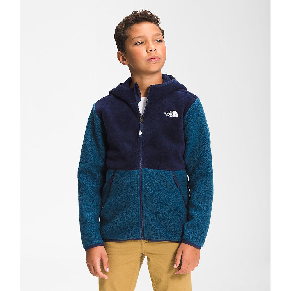 The North Face Fleeces Boys Australia - The North Face Forrest Full Zip Hooded Blue (LND-685394)